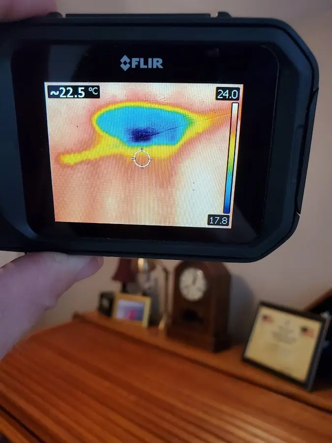 Thermal imaging inspection for water damage in Fussels Corner