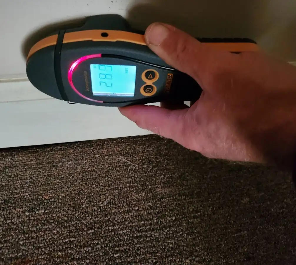 Moisture detection at baseboard during Mold Inspection & Testing in Fussels Corner